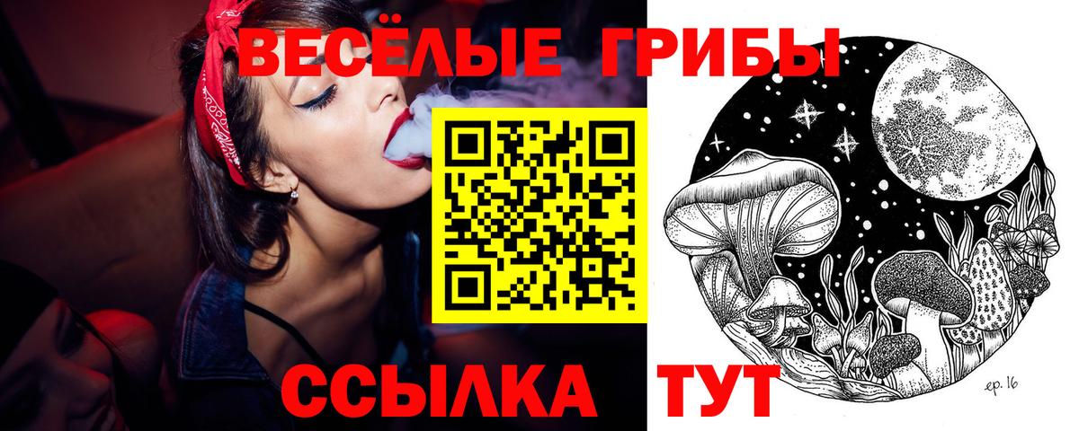 Галлюциногенные грибы Psilocybine cubensis  купить наркотик  Камышлов  Вход с VPN  Галлюциногенные грибы GOLDEN TEACHER 
